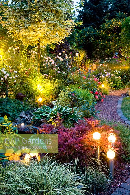 Mixed summer borders with spot lights at dusk 