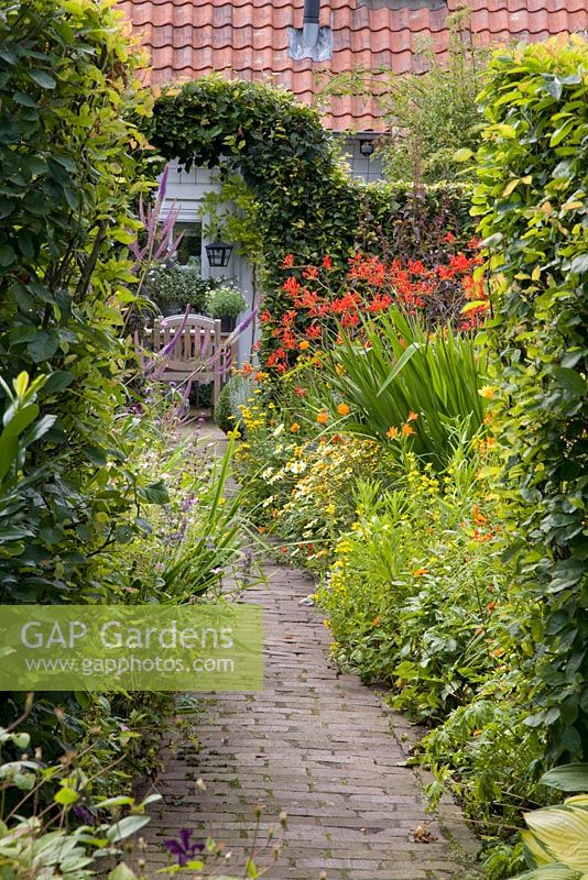 Pathway leading to clipped archway in hedge