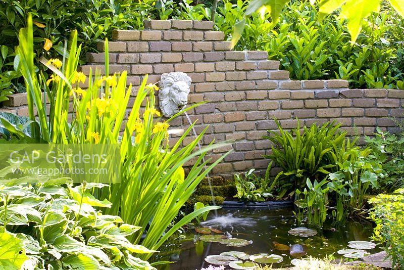 Water feature and pond with lush green planting
