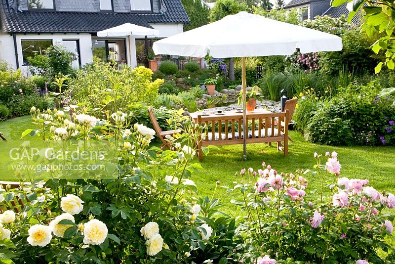 Seating area on lawn, Rosa 'The Pilgrim' and Rosa 'Mary Rose' in foreground