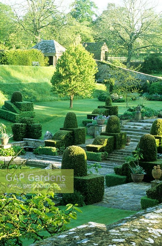 View across Fountain Court. Clipped mounds of Yew.  - Mapperton Garden, Beaminster, Dorset, UK. May. 