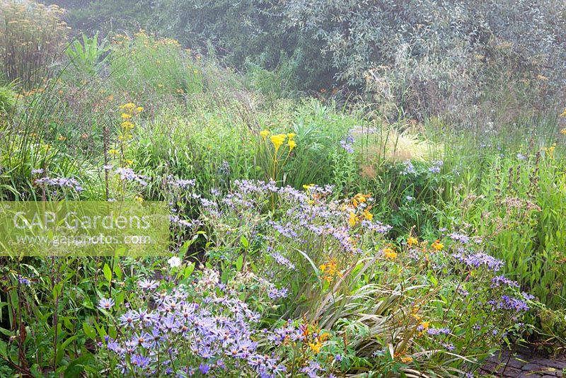 Misty morning in the brick garden at Glebe Cottage with aster and Crocosmia x crocosmiiflora Solfatare in the foreground