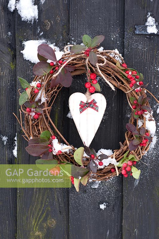 Snowy wreath decorated with Gaulteria procumbens berries and heart with ribbon