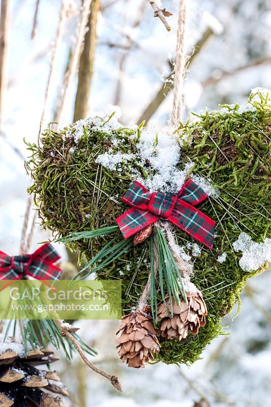 Snowy moss heart and cone with ribbon displayed hanging on branch