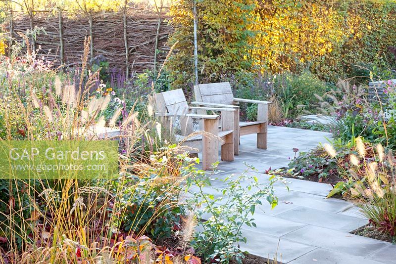Wooden chairs in Autumn garden with planting of Pennisetum and Fagus sylvatica
