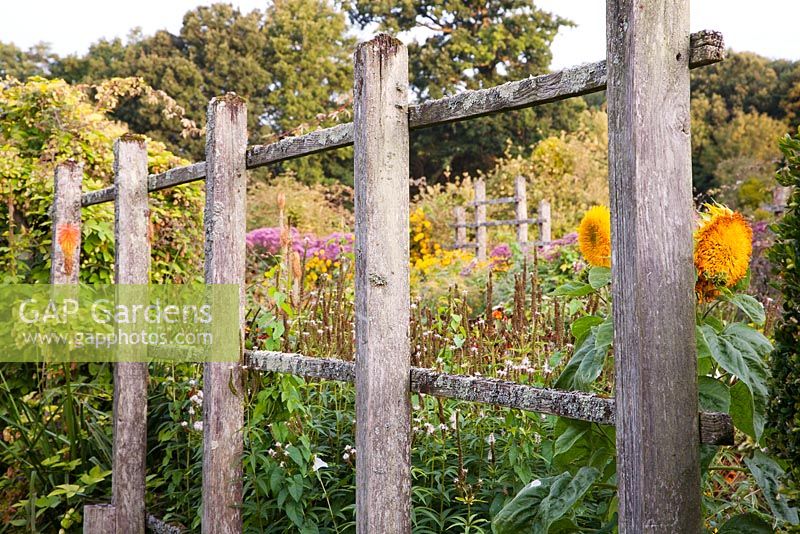 Decorative fence and sunflowers - Parham, West Sussex