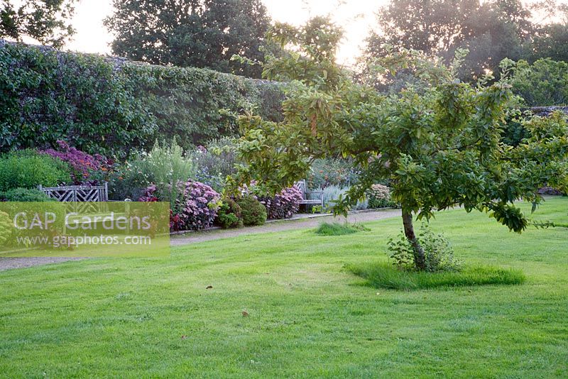 Wooden seat and borders of Sedum, Verbena, Cosmos with formal lawn and Malus - Parham, West Sussex