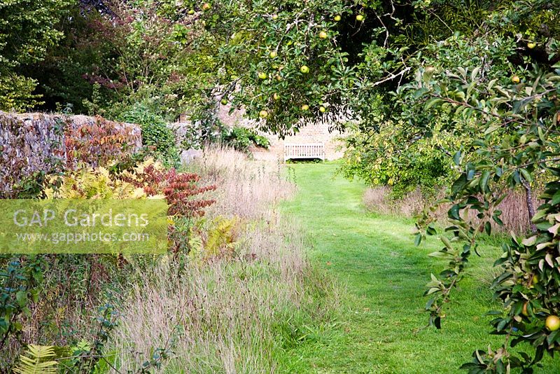 September view of the Orchard - Parham, West Sussex