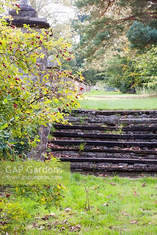 Old stone steps in The Pleasure Grounds - Parham, West Sussex
