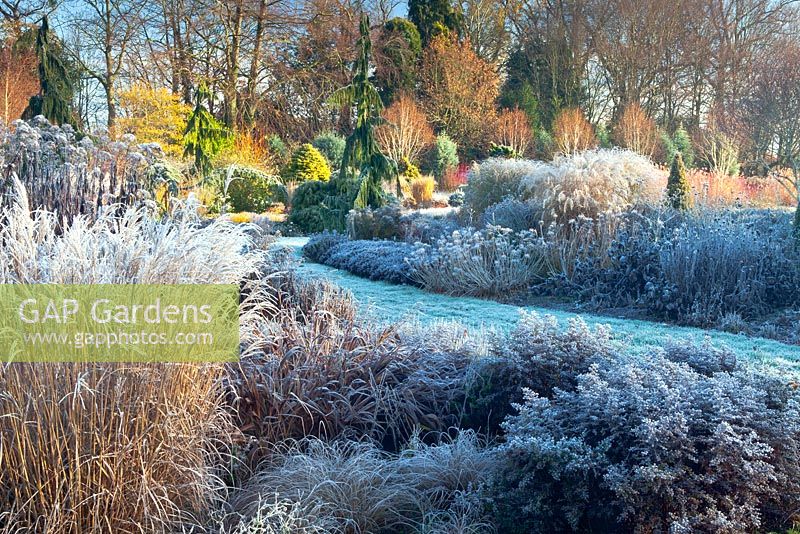 The Summer and Winter Garden in November, Winter. Bressingham Gardens, Norfolk, UK. Designed by Adrian Bloom.