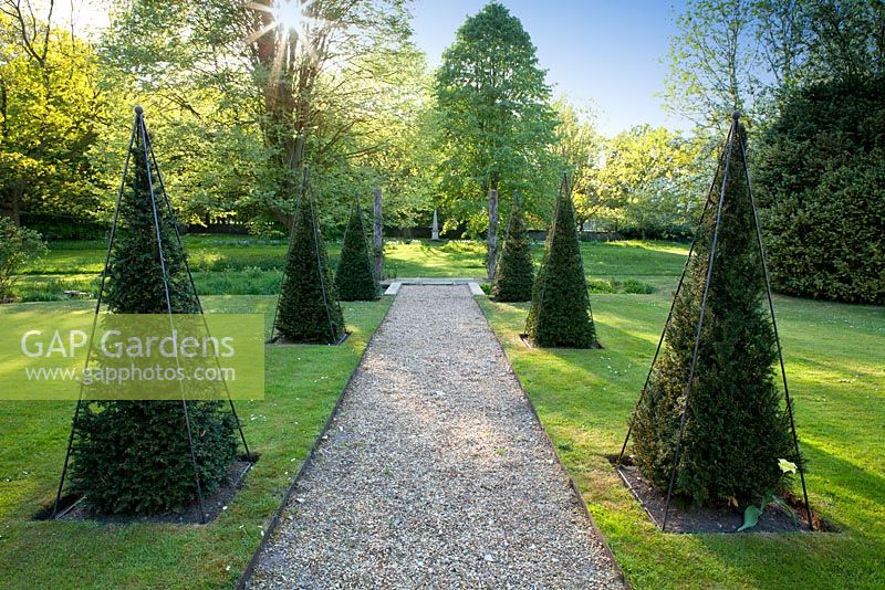 Clipped Yew obelisks and path at Wretham Lodge, Norfolk