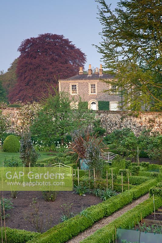 The walled garden with low, clipped hedges and planting of Malus, Brunnera, Geranium, Helleborus, Tulipa 'Purissima' and Tulipa 'White Triumphator' - Wretham Lodge, Norfolk