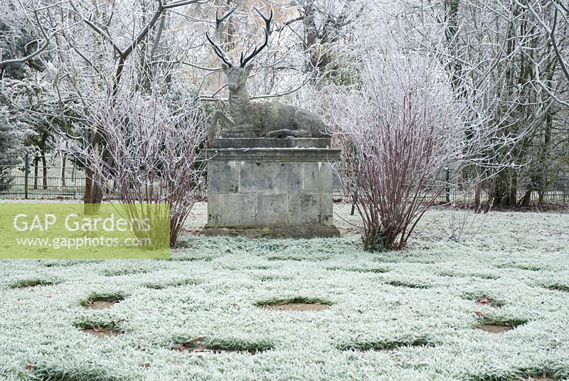 Chilstone Recumbent Stag Statue framed by Cornus - dog wood and stone slabs set in a circular pattern in the grass with frost in December