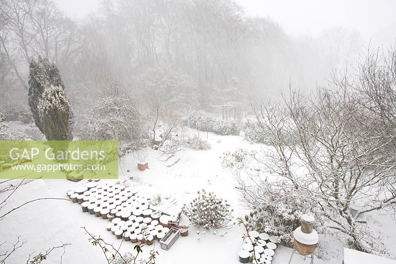 Snow falling at Glebe Cottage. Overhead view of the garden