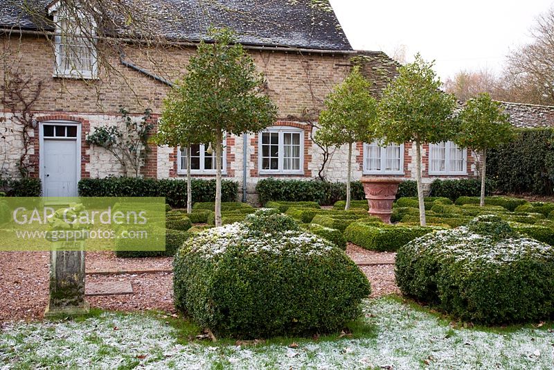 Miniature Topiary Garden with Photinia trees in the frost - The Old Rectory, Surrey