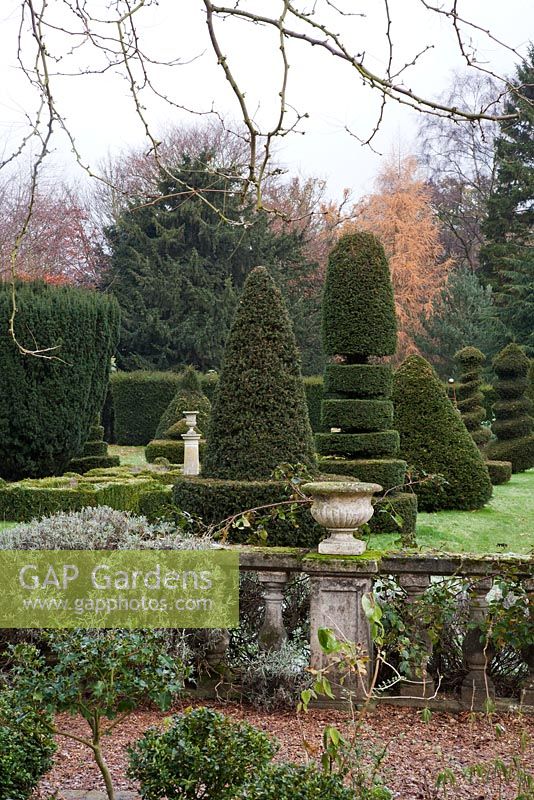 Formal terraced patio and balustrade overlooking formal Italianate Topiary Garden - The Old Rectory, Surrey