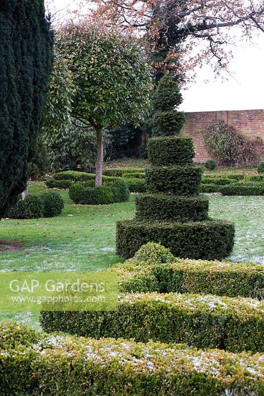 Shaped Yew structure and Buxus in formal topiary garden in winter - The Old Rectory, Surrey