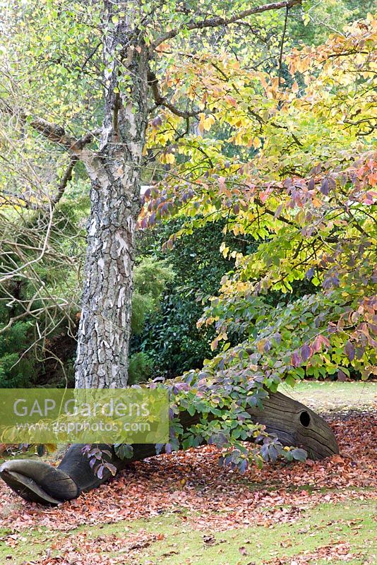 Sculpted wooden tree trunk amongst autumn foliage - Marle Place, Kent