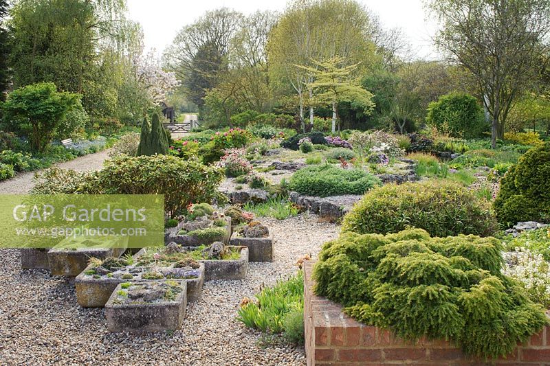 Limesatone rock garden in spring with collection of stone sinks and wide collection of alpine plants - Glen Chantry, Essex