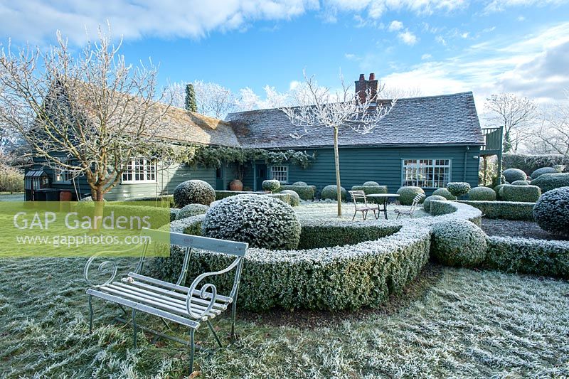 View to rear of house with wrought iron garden  seat. Yew and box topiary and dwarf hedges on frosty morning in December - The Mill House, Little Sampford, Essex