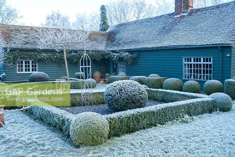 View to house with yew and box topiary and dwarf hedges on frosty morning in December - The Mill House, Little Sampford, Essex