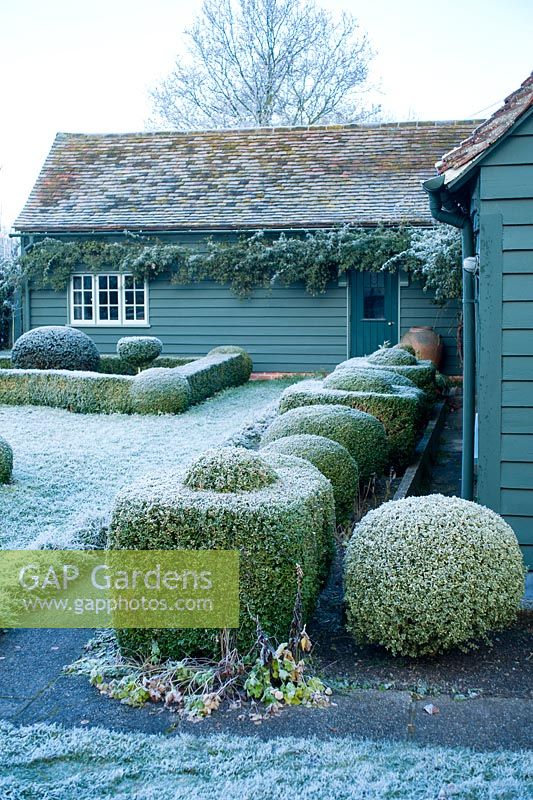 View to house with box topiary and dwarf hedges on frosty morning in December - The Mill House, Little Sampford, Essex