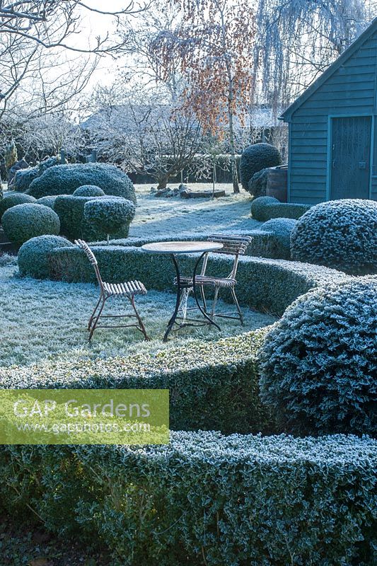 Wrought iron garden table and seats. Yew and box topiary and dwarf hedges on frosty morning in December - The Mill House, Little Sampford, Essex