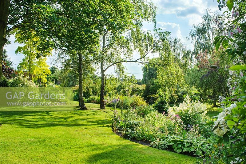 View across sunlit lawn with birch trees and mixed borders - Sally and Don Edwards, 15 Abbots Way, Horningsea, Cambridgeshire.