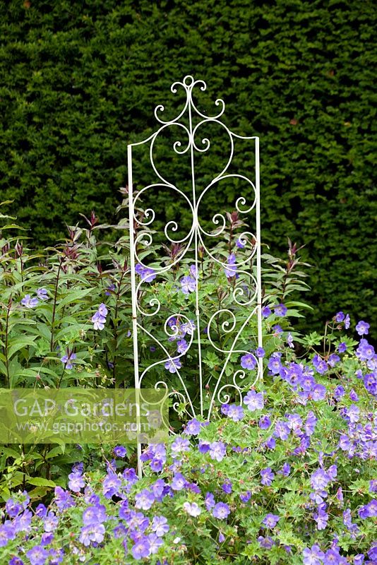 Agriframes plant supports used in summer border