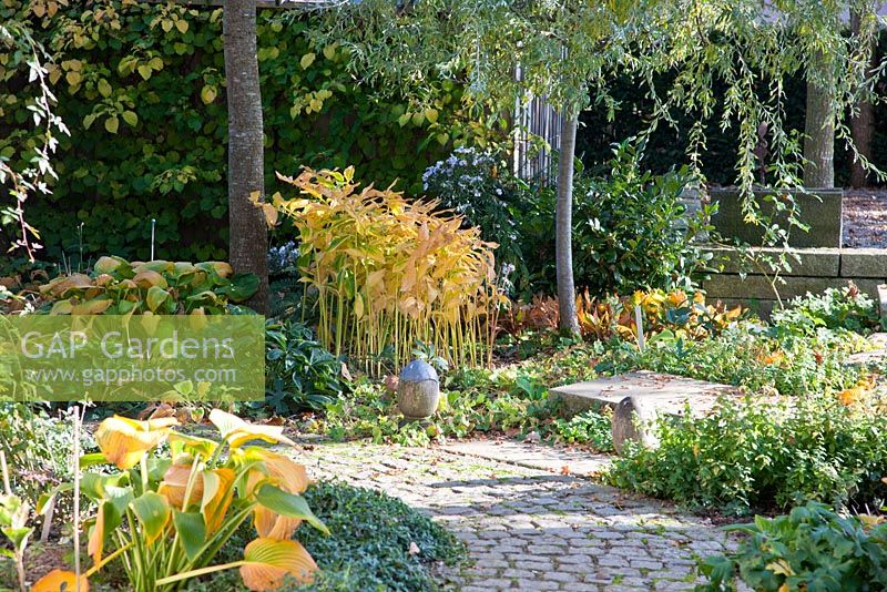 Autumn coloured perennials in a shady garden with granite paved path and stone step