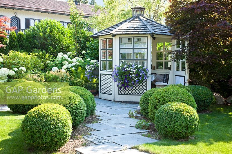 A flagstone paved garden path edged with box spheres leads to a white painted wooden garden pavilion with window boxes. Plants are Acer palmatum 'Atropurpureum', Buxus, Hydrangea arborescens 'Annabell', Petunia Surfinia and Prunus laurocerasus