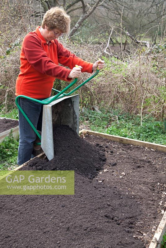 Using composted municipal waste to fill a raised bed.