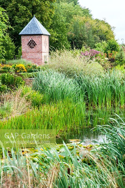 Wildlife pond surrounded by rushes and grasses, with dovecote beyond - Rhodds Farm, Kington, Herefordshire, UK
