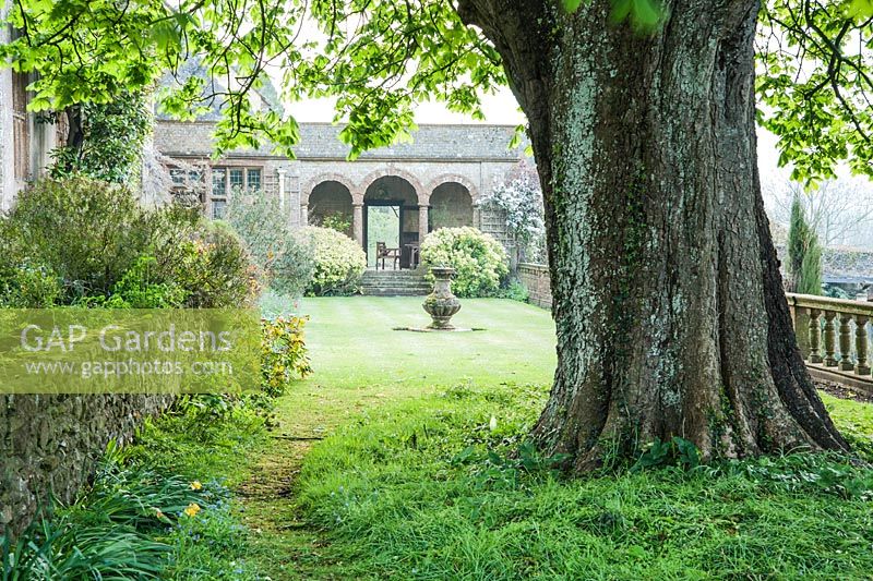 Grassy terrace with Italianate loggia at the end and massive horse chestnut tree in the foreground. Wayford Manor, Wayford, Crewkerne, Somerset, UK