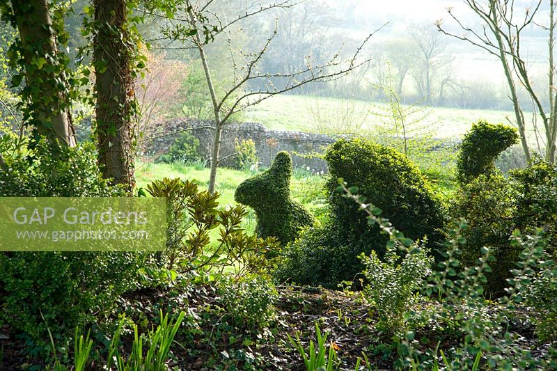Topiary animals clipped from Lonicera nitida in the woodland garden. Wayford Manor, Wayford, Crewkerne, Somerset, UK