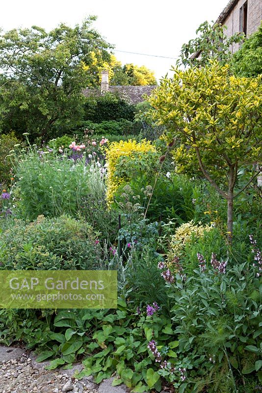 Cottage garden, June