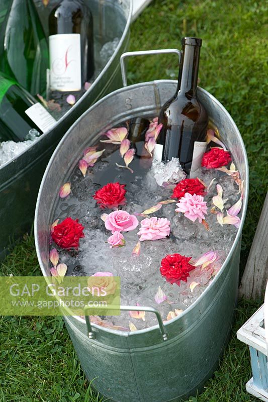 Wine cooling in galvanized ice bucket decorated with cut Roses
