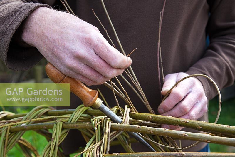Weaver Dominic Parrette making a woven willow plant support - Sussex Willow 
