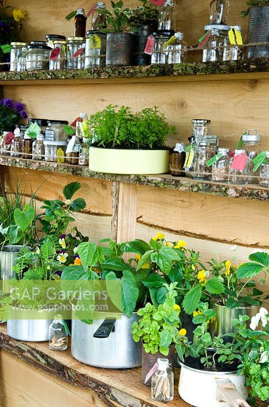 Shelves of recycled kitchen utensils used for growing plants and labelled jars used for seed storage in garden shed - 'George's Marvellous Garden' - RHS Malvern Spring Show 2012