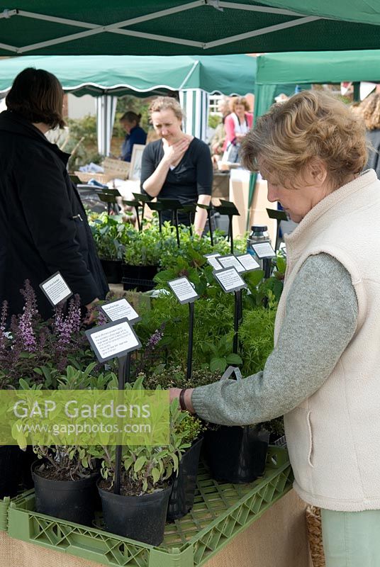 Woman selecting herbs at market stall - Orford, Suffolk