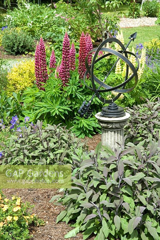 Armillary sundial set in herbaceous border with Lupins and Sages - Open Gardens Day 2012, Long Melford, Suffolk 
