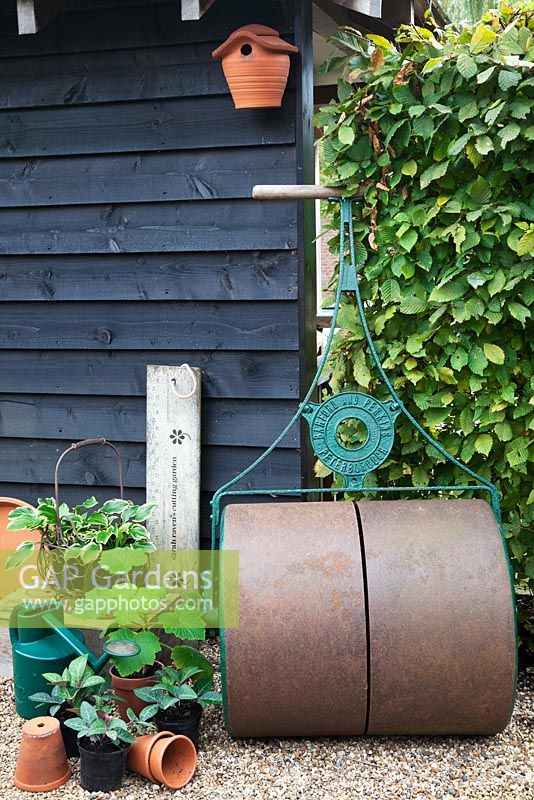 Old cast iron roller leaning against the barn with pots, watering cans and Hornbeam hedge - Woodpeckers