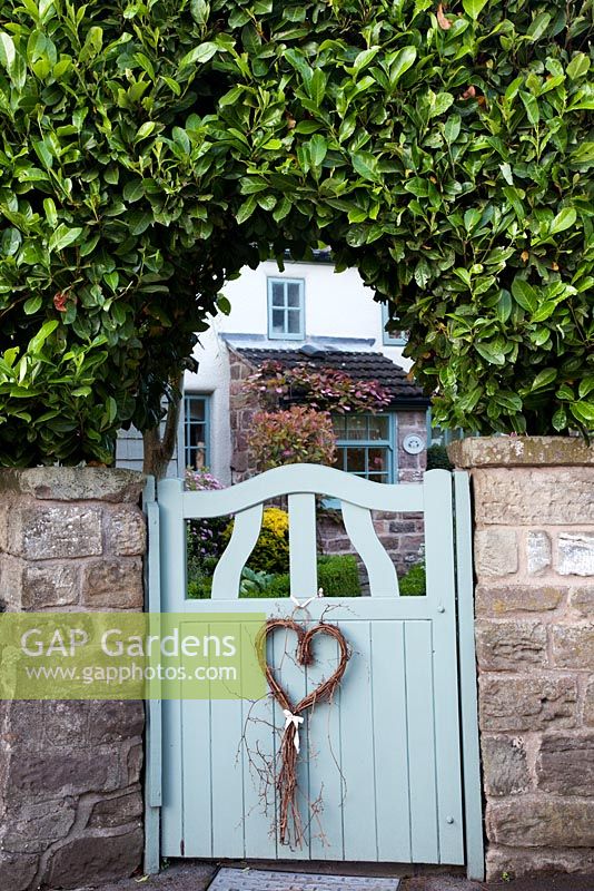 Pale blue cottage garden gate with heart decoration, set into stone wall with Prunus laurocerasus 'Rotundifolia' hedge -  Garden Neighbours