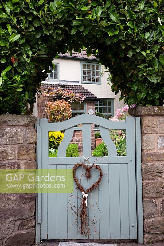 Pale blue cottage garden gate with heart decoration, set into stone wall with Prunus laurocerasus 'Rotundifolia' hedge - Garden Neighbours