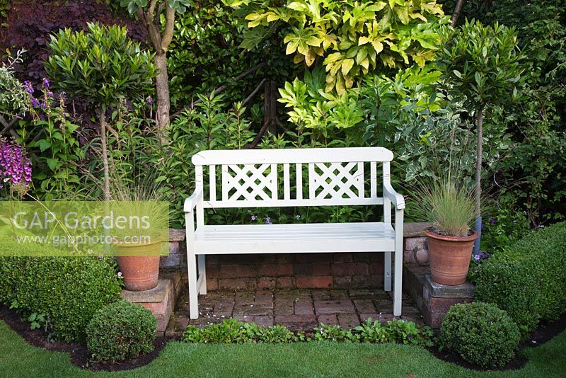 Painted bench on brick terrace with Buxus balls and low Buxus hedge, standard Bay trees and potted grasses - Garden Neighbours 
