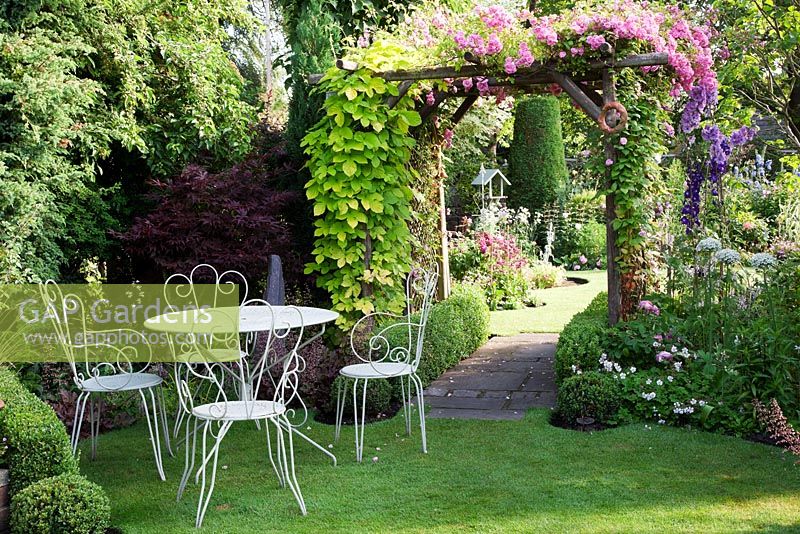 Small cottage garden with lawn, Buxus edged beds, Buxus balls, wrought iron table and chairs and archway covered in Rosa 'Super Fairy', Clematis 'Josephine' and Humulus lupulus 'Aureus' - Golden Hop - Garden Neighbours