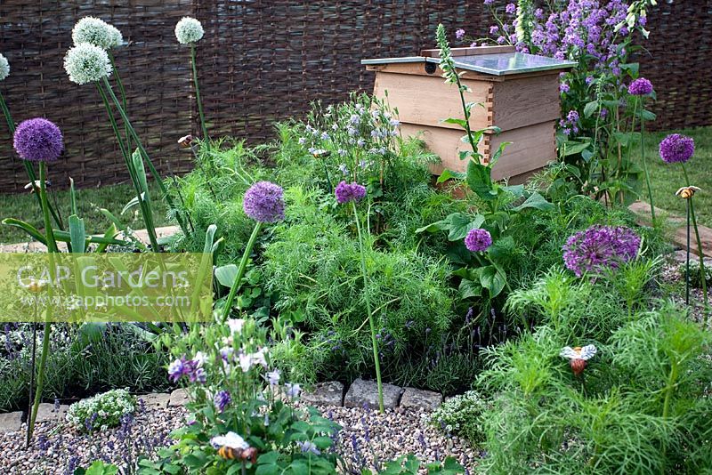 Alliums, Digitalis - Foxgloves with bee hive  - 'The Bees Knees', Designed by the Horticulture Team at South Staffs College - BBC Gardener's World Live 2012