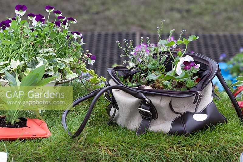 Unusual pots - 'George's Marvellous Medicine' - RHS Malvern Spring Gardening Show 2012 
 