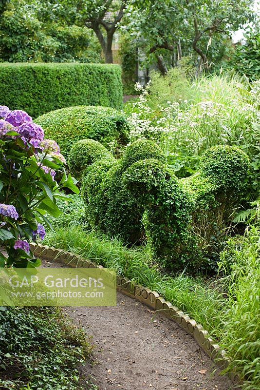 Border of Hydrangea, Buxus and Taxus topiary, Anemone and Acaena edged with ceramic tiles - Ulla Molin
