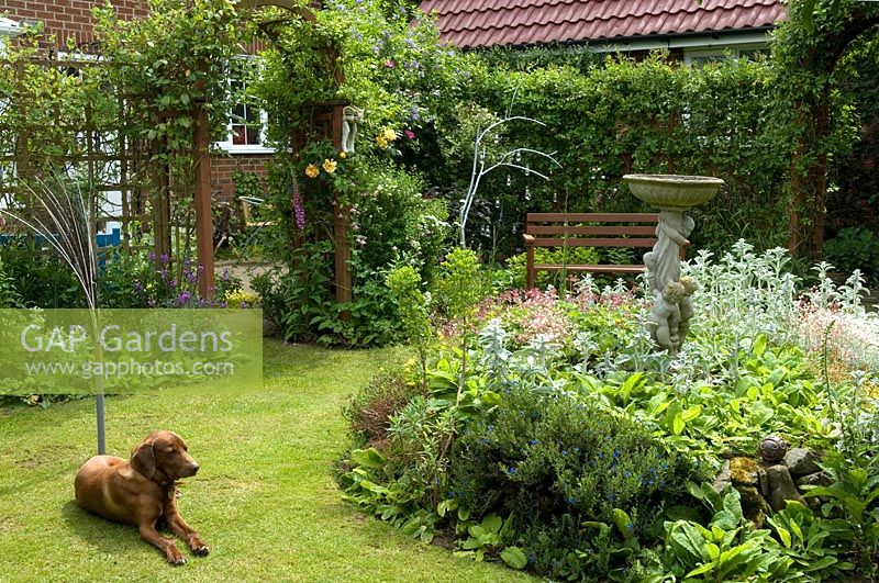 Small garden with rose arch, perennial plants, bench and dog lying on lawn - Open Gardens Day 2012, Westleton, Suffolk